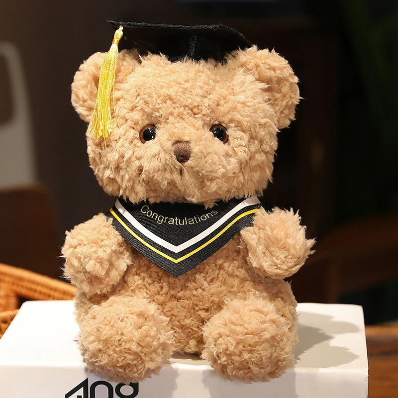 Abschluss Teddybär